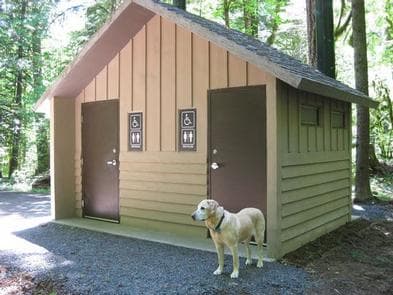 Paradise Creek campground