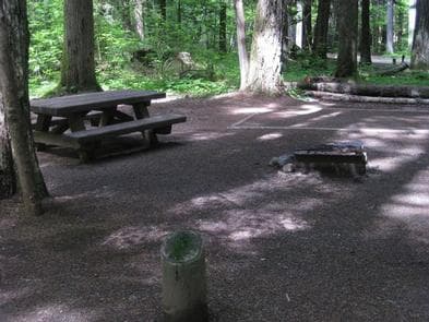 Paradise Creek campground