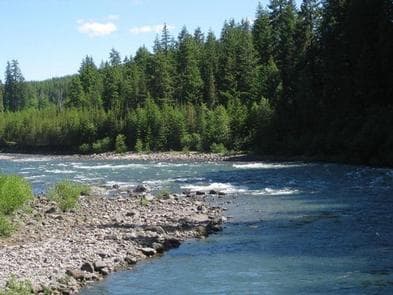 Paradise Creek campground