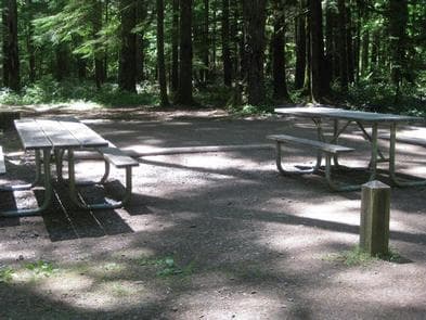 Panther Creek campground picnic tables