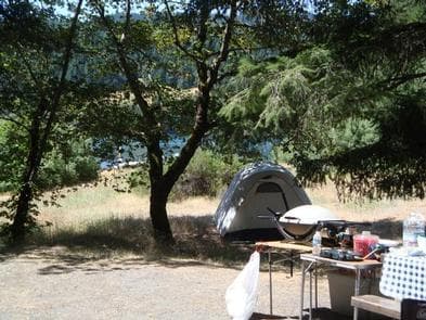 Fir Cove Campsite
