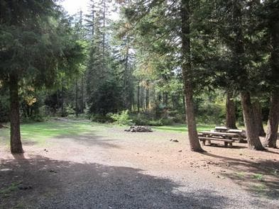 PINE NEEDLE GROUP SITE