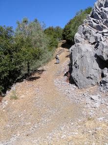 HIRZ MOUNTAIN LOOKOUT HIKE