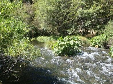 MAD RIVER CAMPGROUND