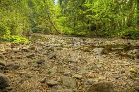 Paradise Creek campground