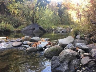 PONDEROSA CAMPGROUND