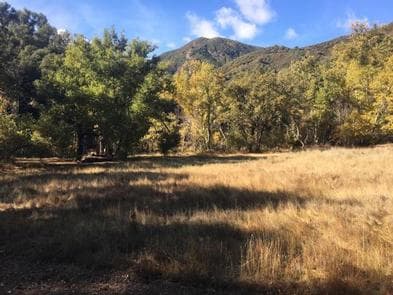 PONDEROSA CAMPGROUND