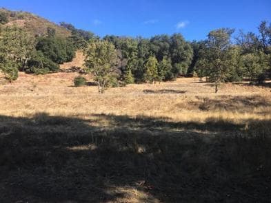 PONDEROSA CAMPGROUND