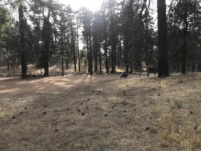 PINE MOUNTAIN CAMPGROUND