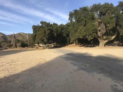 TURKEY FLAT OHV STAGING AREA