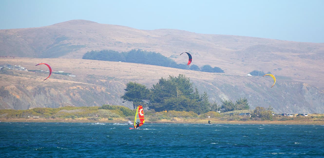 Windsurfers