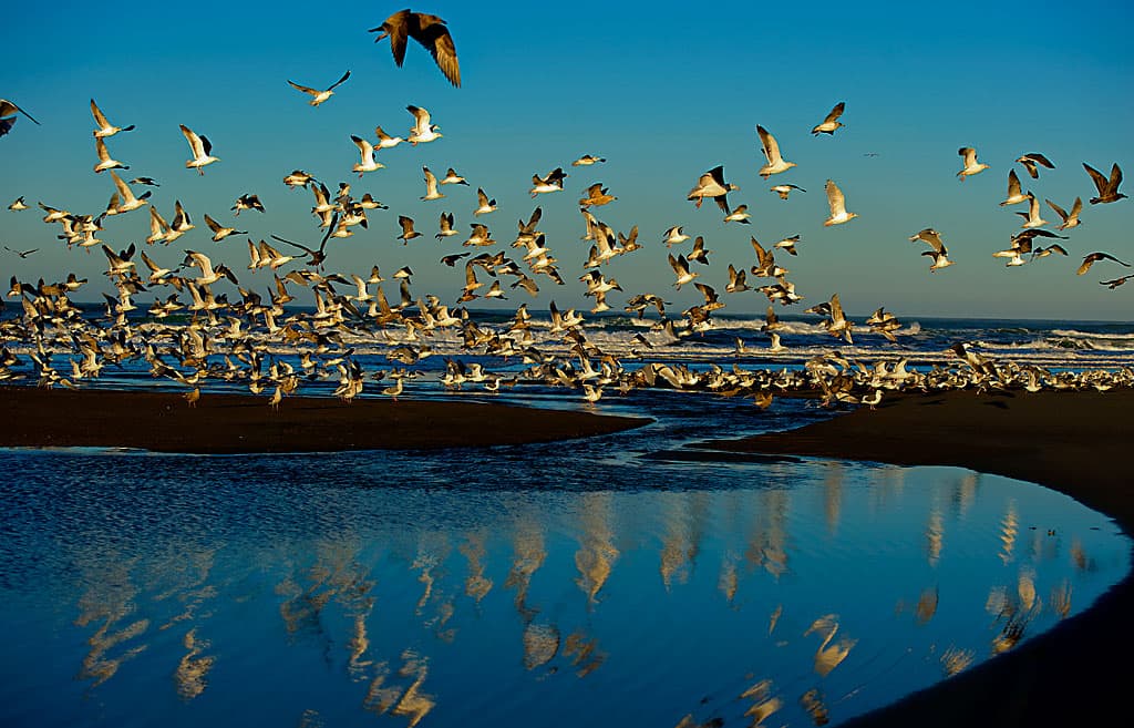 Wright's Beach (sites 1-27)